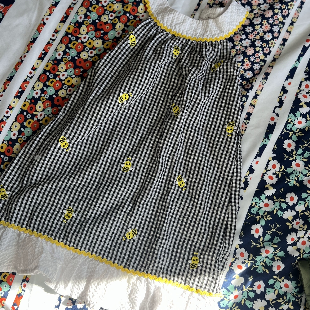 Charming Gingham Dress with Bee Embroidery